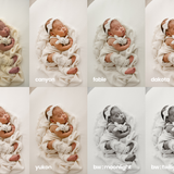 little fox Lightroom Presets