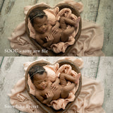 Snowflake Lightroom Presets