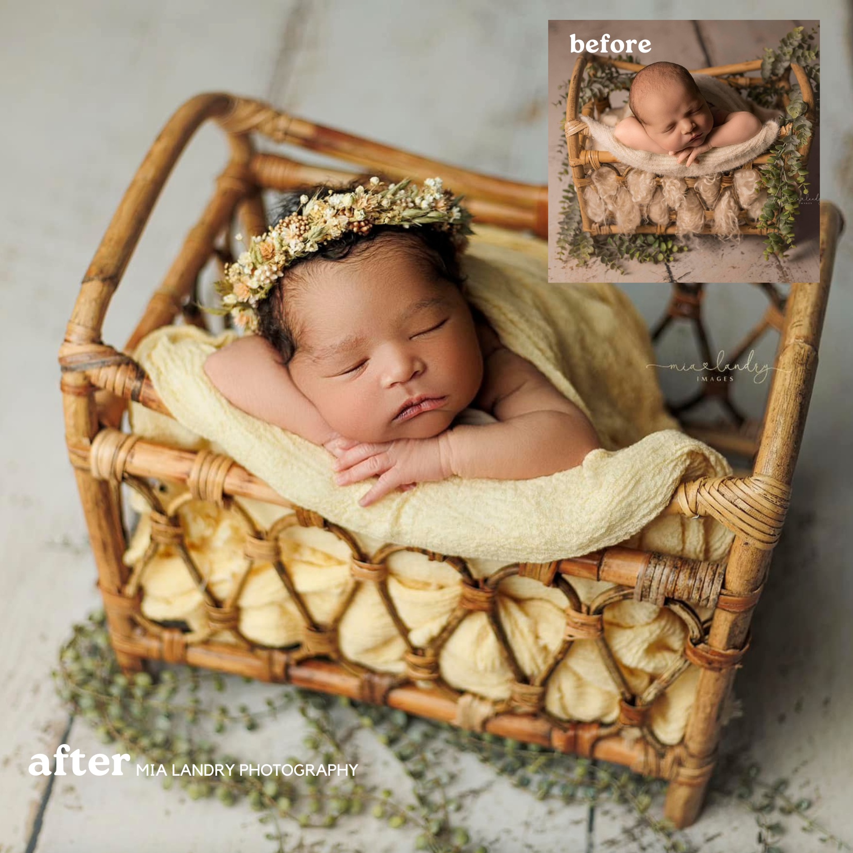 Newborn Photography Education Online Workshop for Newborn Photographers Learn Newborn Photography with Jessica G. Photography