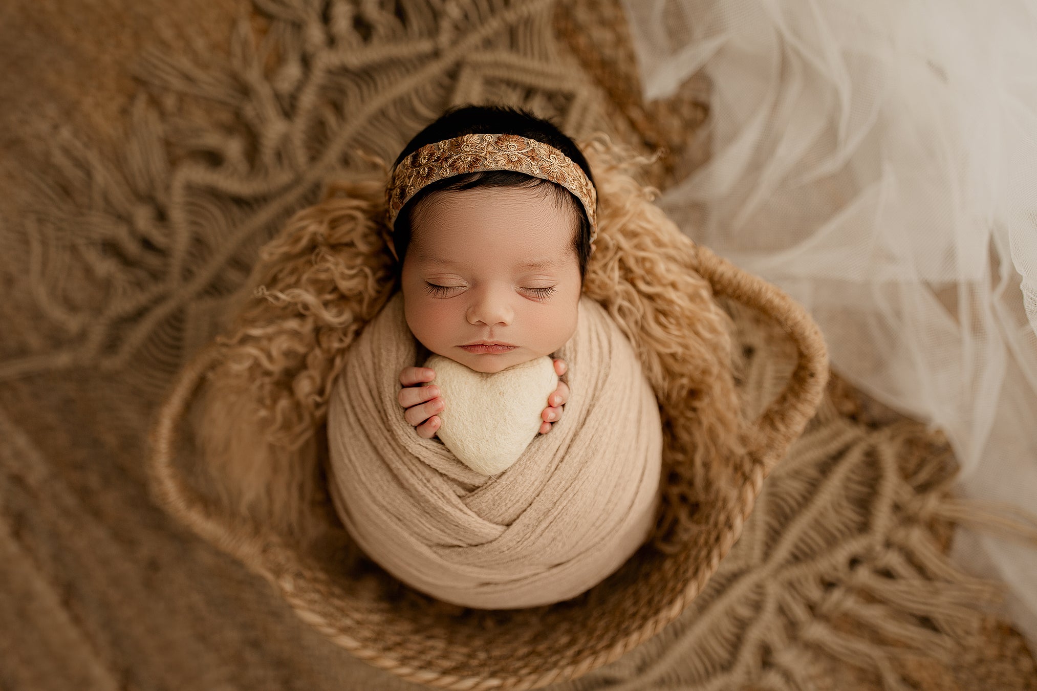 Learn Newborn Photography Online