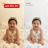 Snowflake Lightroom Presets