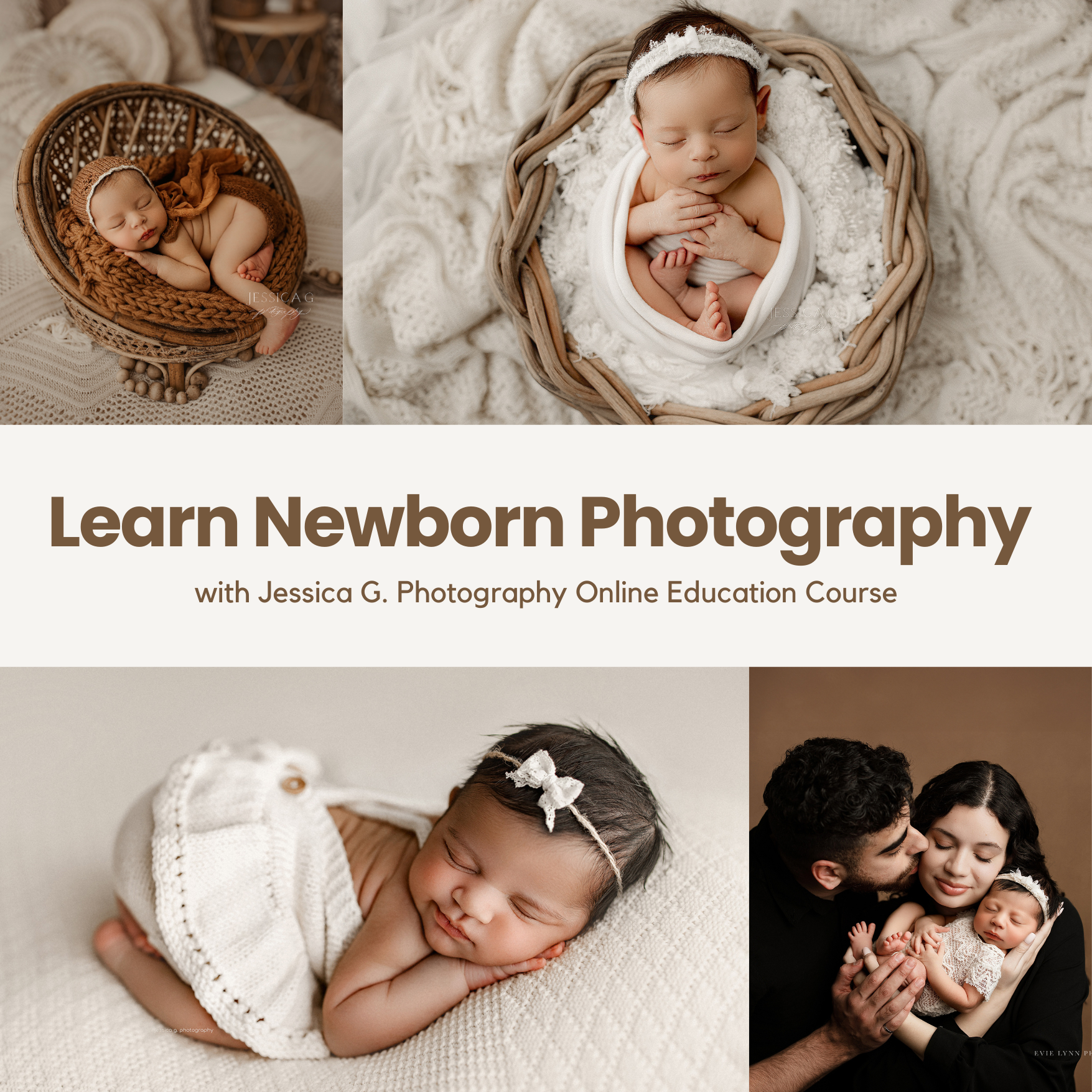 Learn Newborn Posing Online