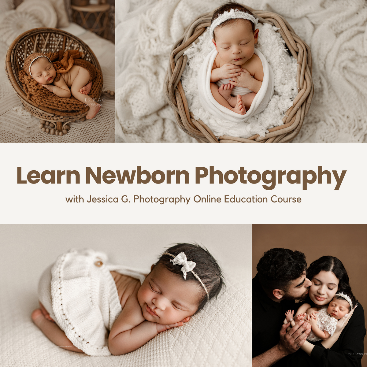 Learn Newborn Posing Online