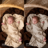 Wicker Lightroom Presets